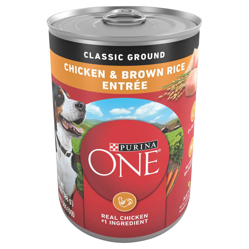 Purina One Classic Ground Chicken & Brown Rice Dog Food (13 oz)