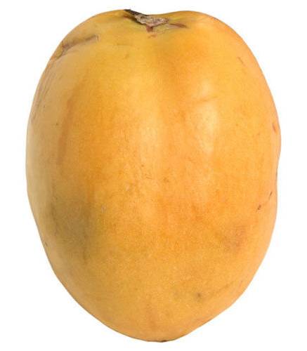 Pepino