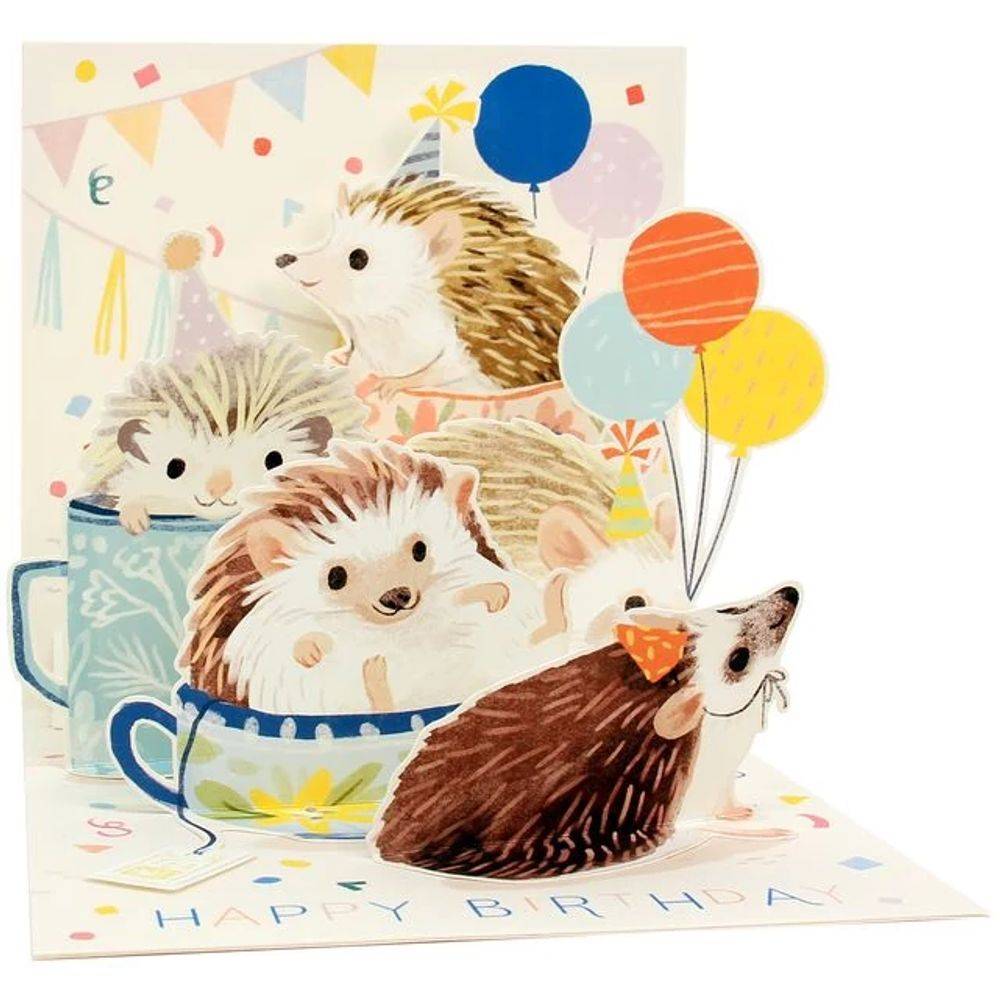 Up With Paper Summer Pop-Up Hedgehog Greeting Card With Envelope
