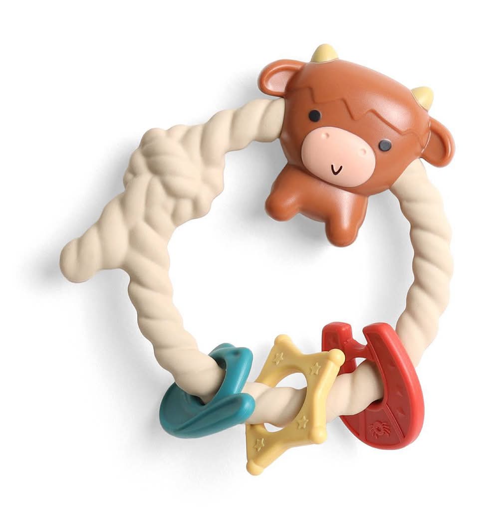 itzy ritzy Silicone Teether With Ring Rattle 3+ Months