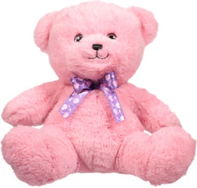 Signature Select Valentine Teddy Bear Plush Toy With Ribbon, 10 in, Pink