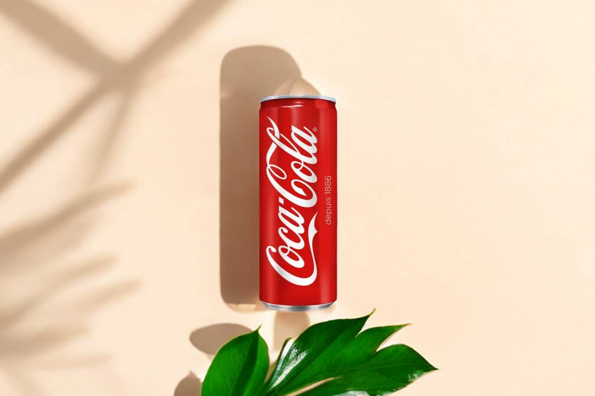 Coca Cola🥤