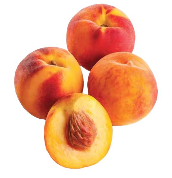 Organic Colorado Peaches