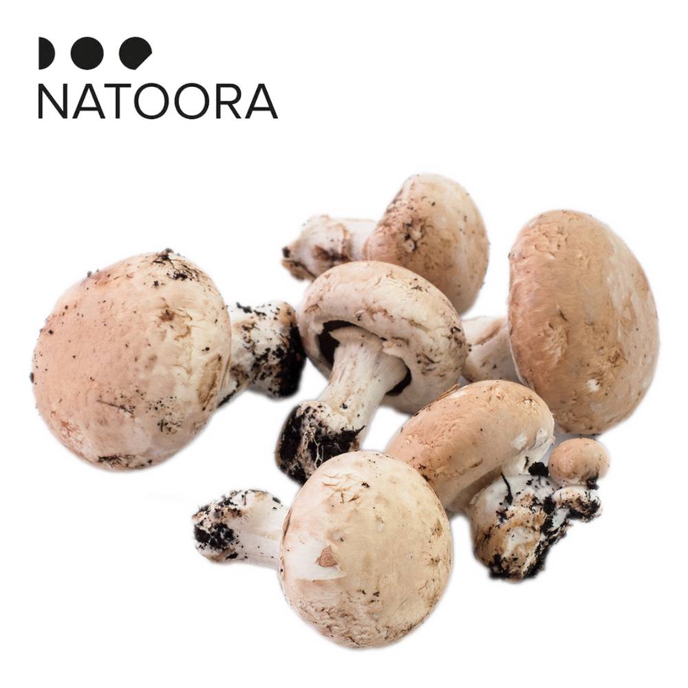 Natoora Chestnut Mushrooms 200g