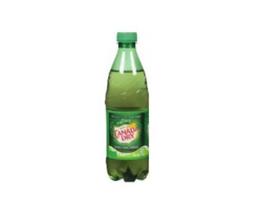 Canada Dry Ginger Ale 500ml