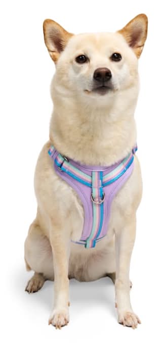 YOULY Comfort Neoprene Dog Harness, Lavender, Medium