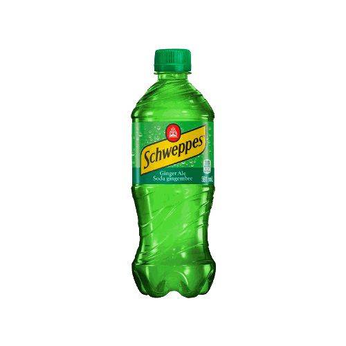 Ginger Ale - 591ml