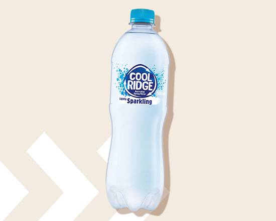 Sparkling Water 500ml