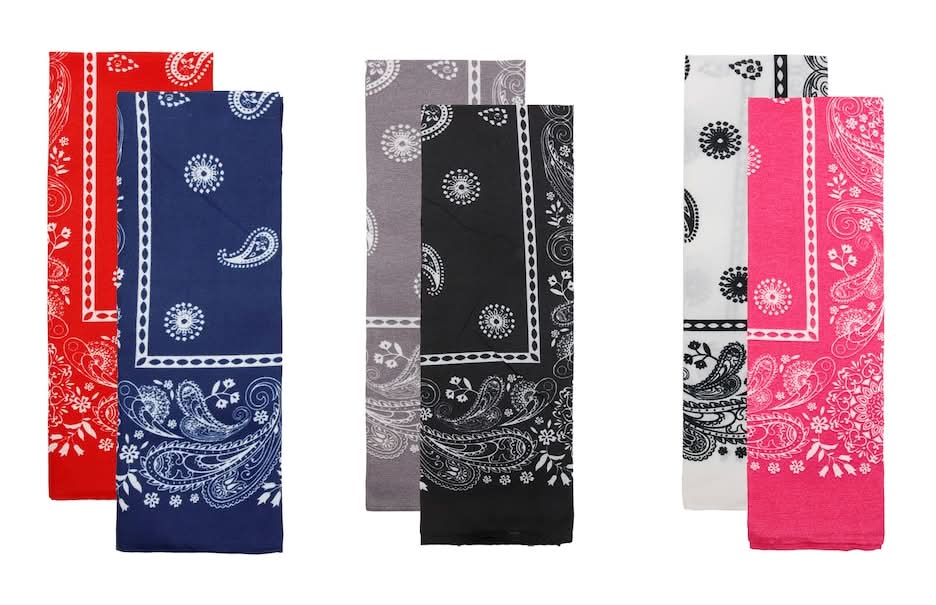 Classic Printed Polyester Bandanas, Assorted (2 ct)