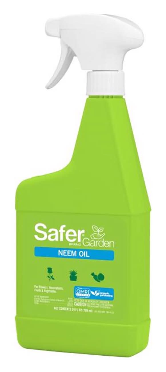 Safer Brand Neem Oil Organic Insect Killer Liquid 24 Oz
