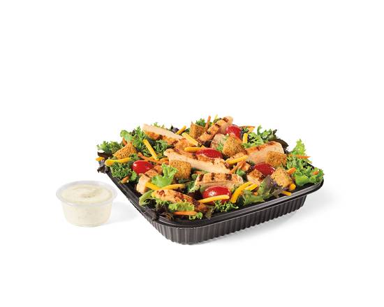 Garden Salad w/ Grilled Chicken