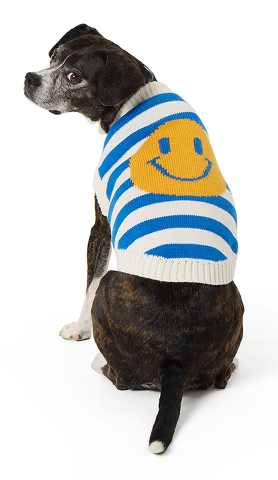 Top Paw® Striped Dog Sweater (Color: Blue, Size: Medium)