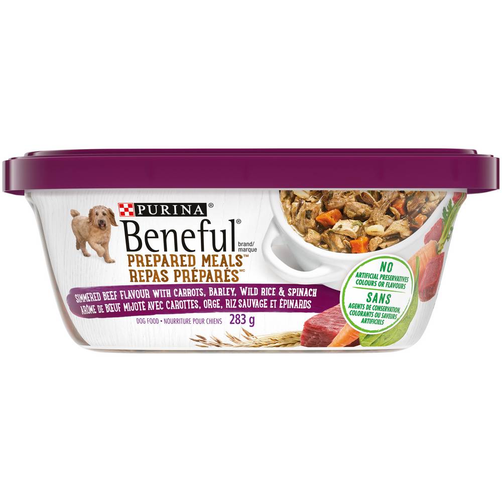 Beneful Prepared Meals Simmered Beef Flavour Dog Food (283 g)