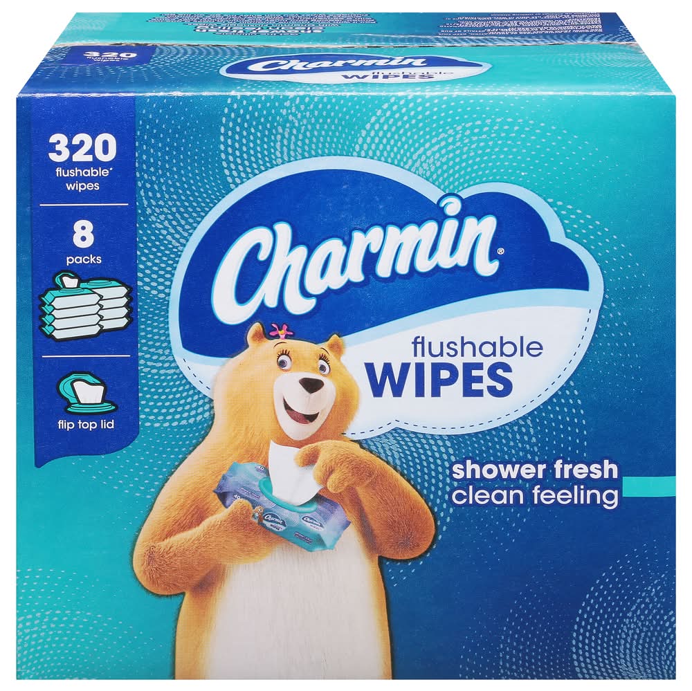 Charmin Flushable Wipes (4.2 lbs)