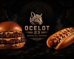 OCELOT 23 (Celaya)
