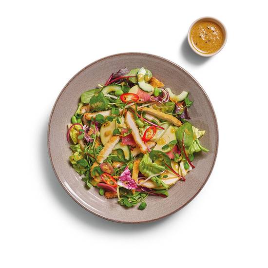 250. chicken katsu salad