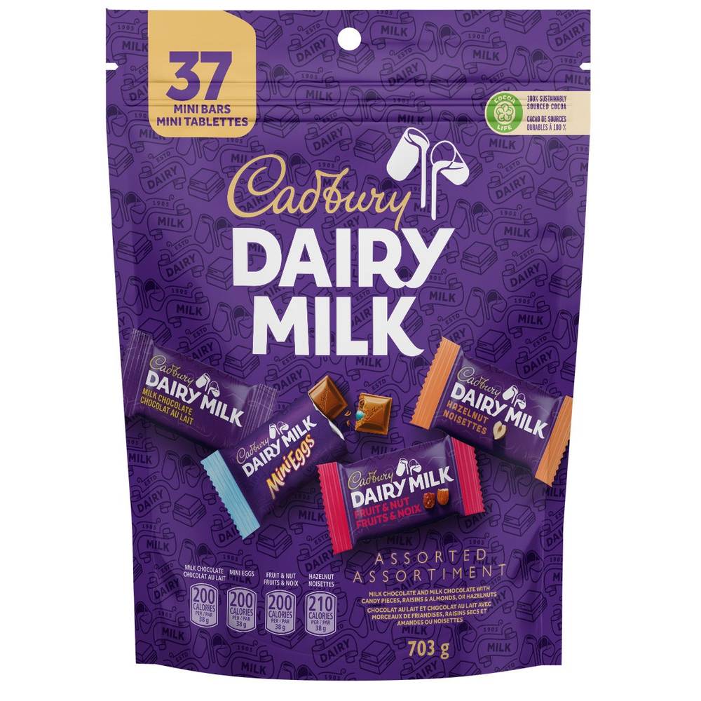 Cadbury Dairy Milk Assorted Chocolate Mini Bars, 703 G