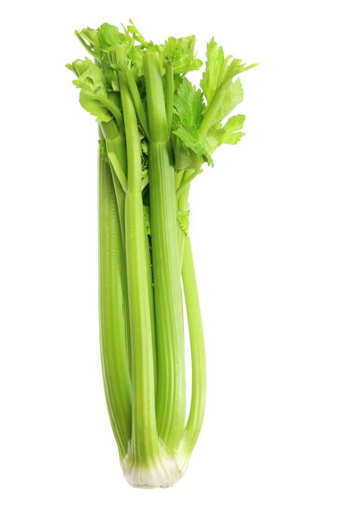 Organic Celery