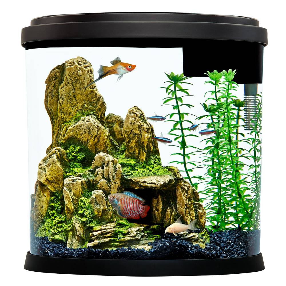 Top Fin® Half Moon Aquarium - 3.5 Gallon (Color: Black, Size: 3.5 Gal)