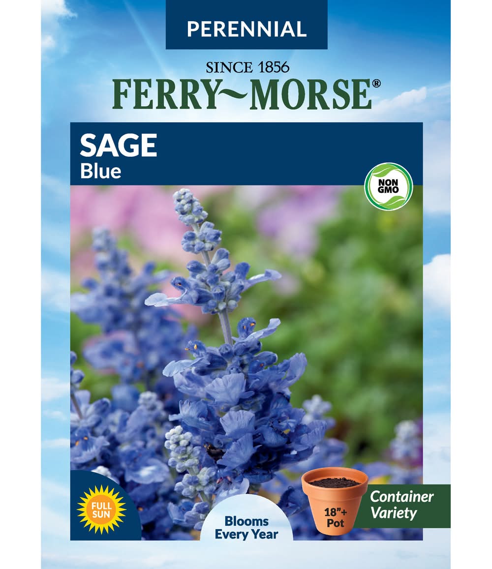 Ferry-Morse P SAGE BLUE