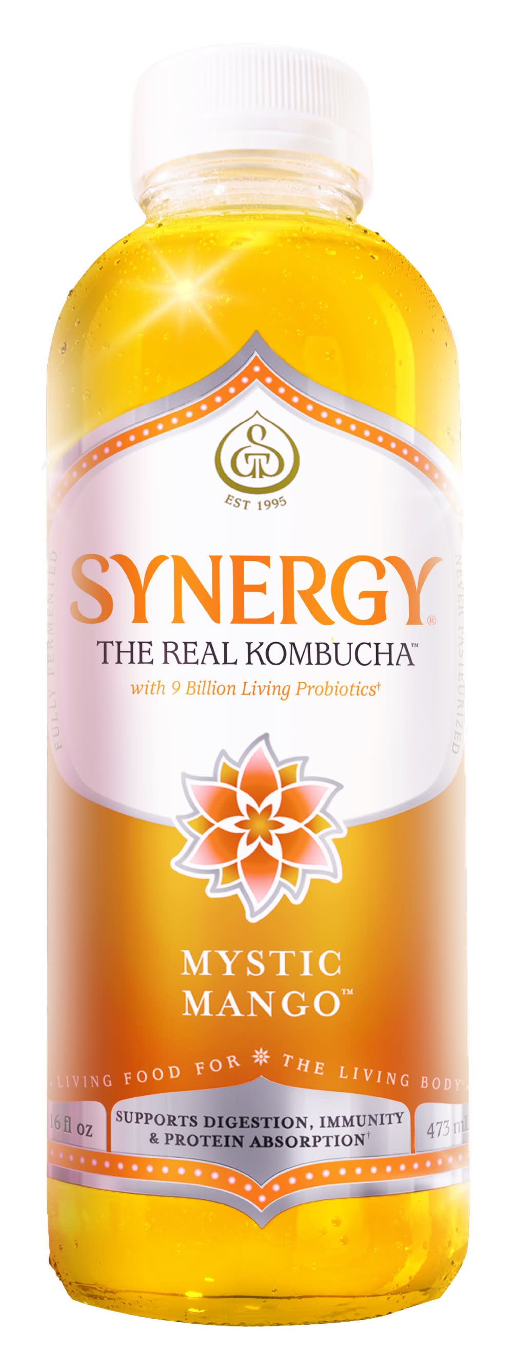 GT's Synergy Raw Kombucha, Mystic Mango (16 fl oz)