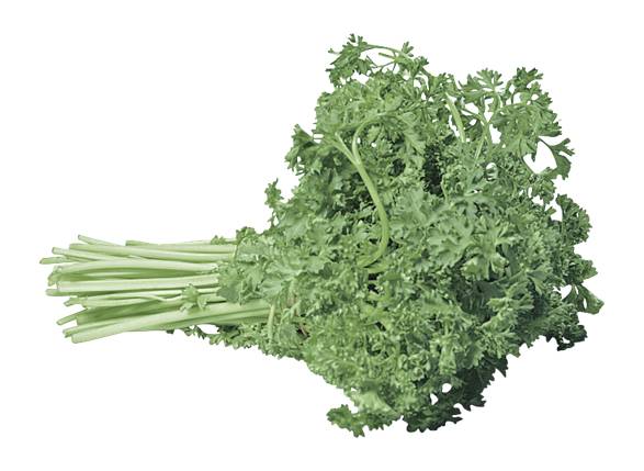 Curly Parsley