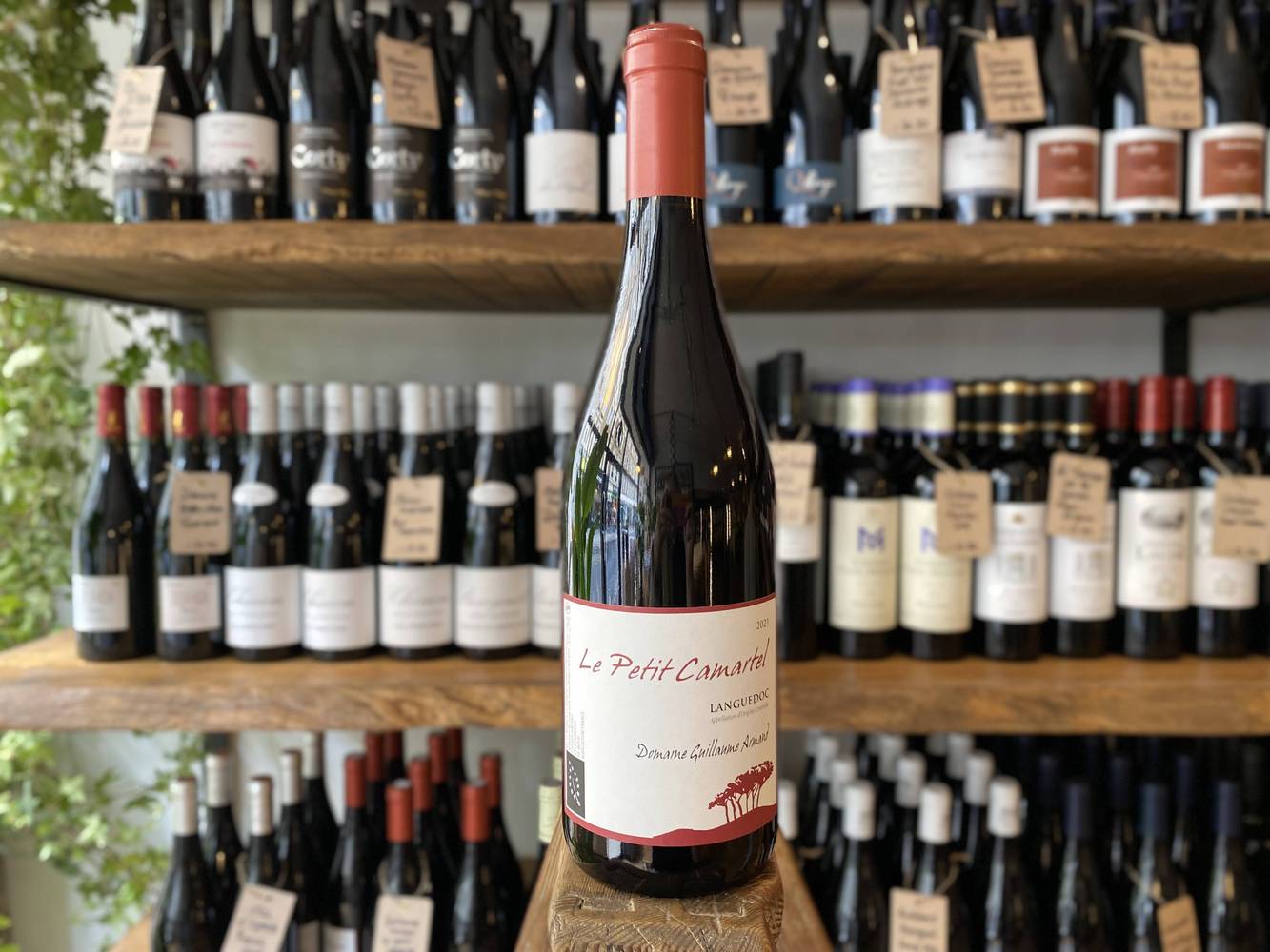 Domaine Guillaume Armand Le Petit Camartel Rouge 2021