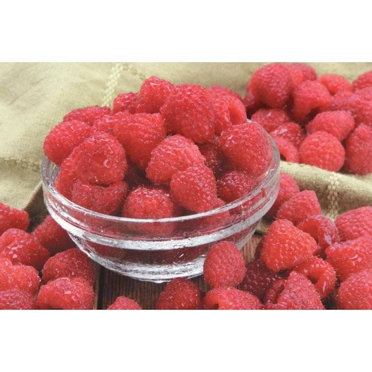 Packer Fresh Red Raspberries