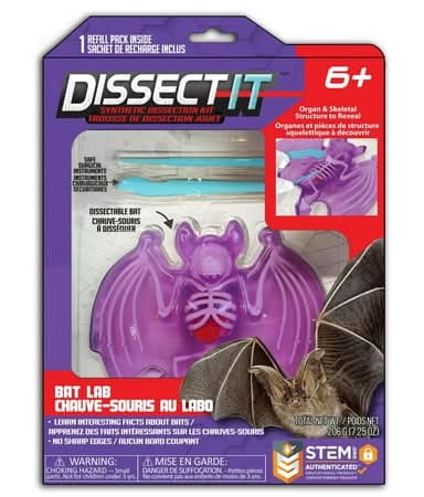 Dissect-It Bat Lab