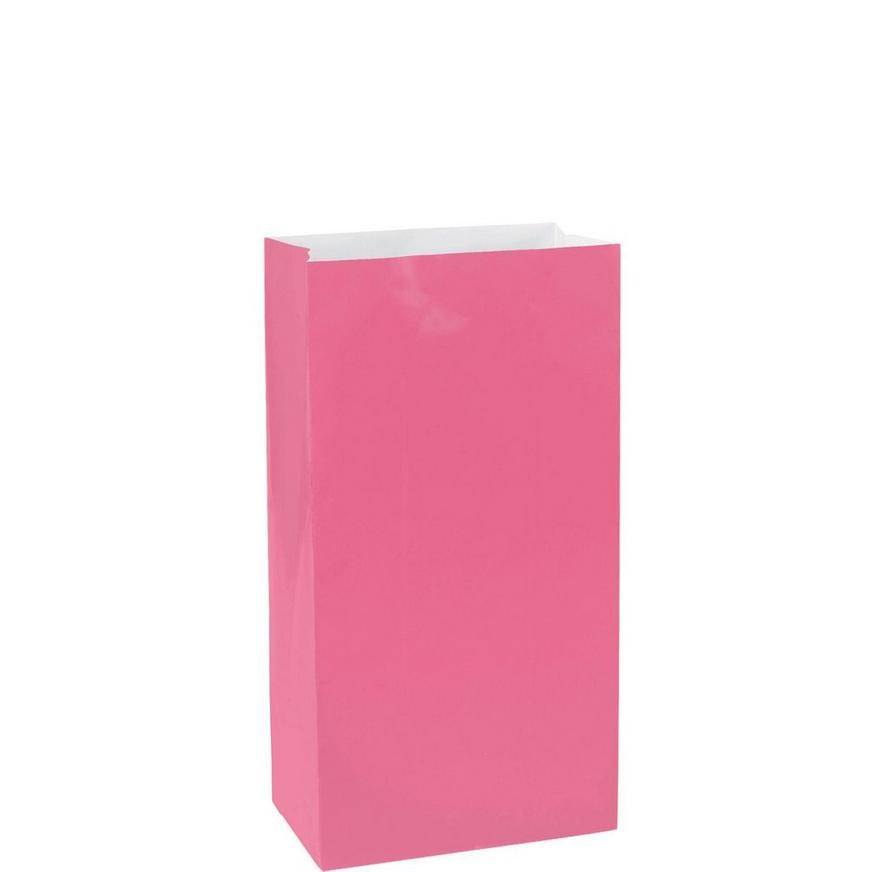 Medium Bright Pink Paper Treat Bags 12ct