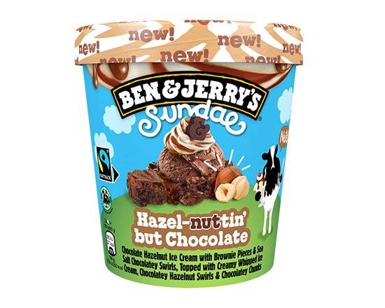 Ben & Jerry's Hazelnut Sundae 427ml