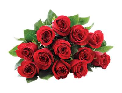 Rose Color Dozen Bouquet (each)