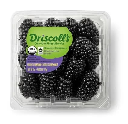 Organic Blackberries