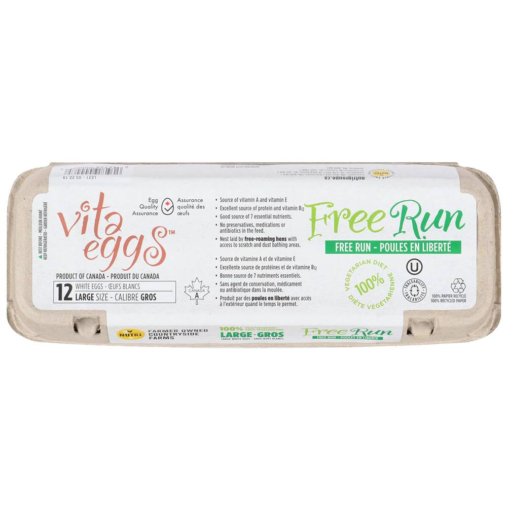 Vita Eggs Free Run Large Size Eggs (12 units)