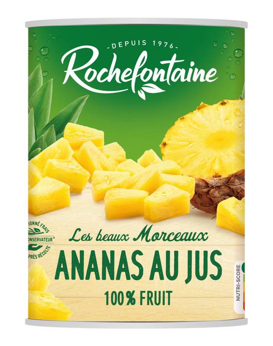 Rochefontaine - Ananas en morceaux au jus