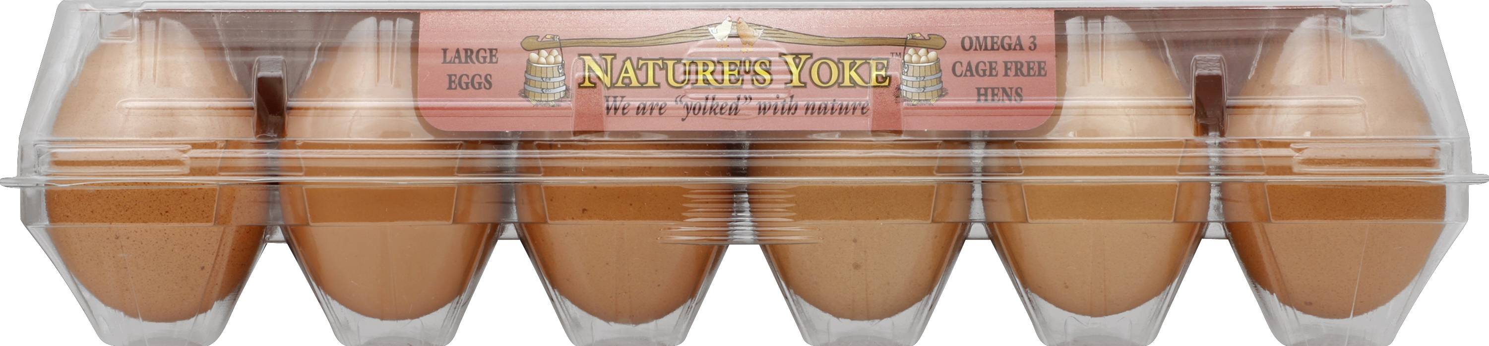 Nature's Yoke Grade a Large Brown Eggs (1.11 lbs)