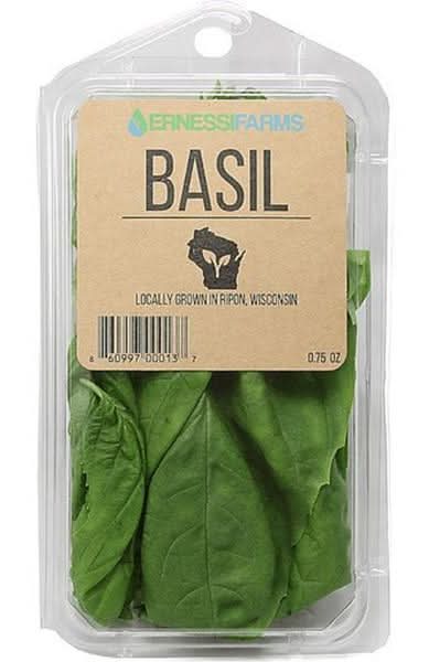Ernessi Basil