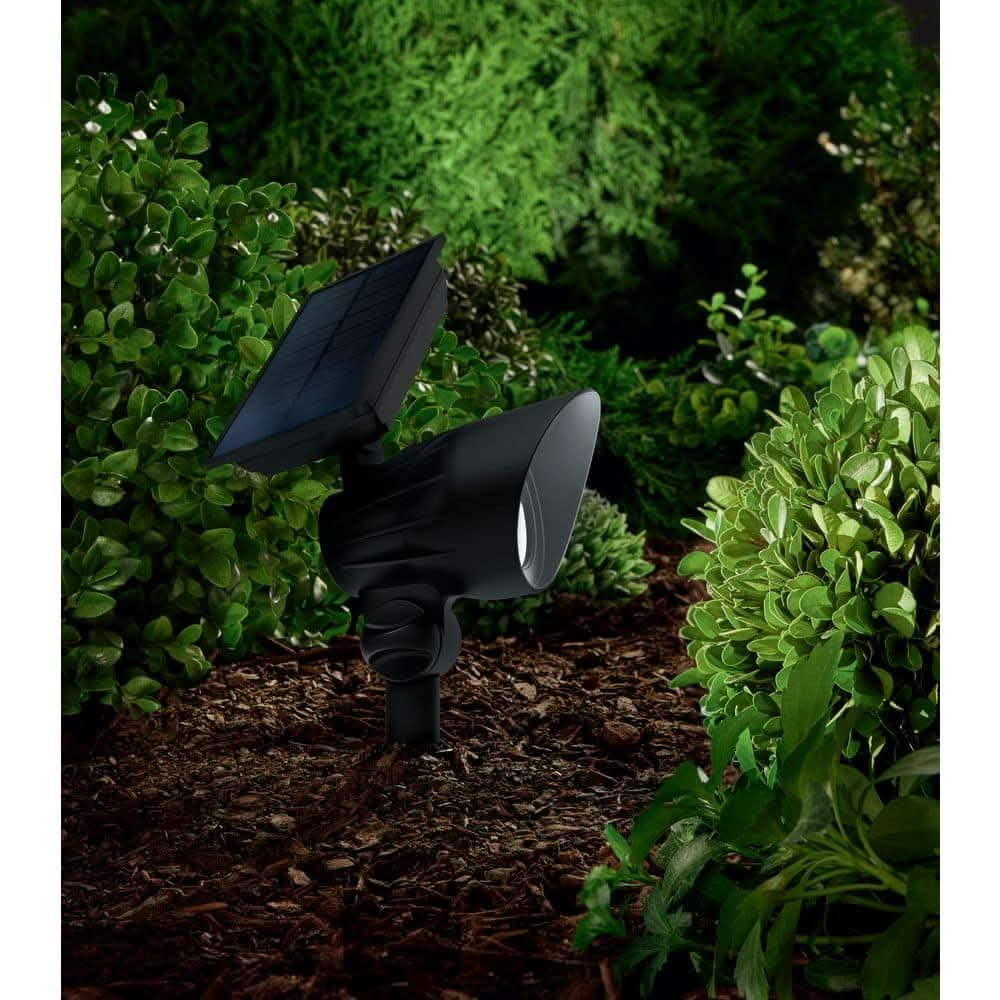 Hampton Bay 120 Lumen Black Led Weather Resistant Outdoor Landscape Solar Spotlight With Color Changing And Adjustable Head