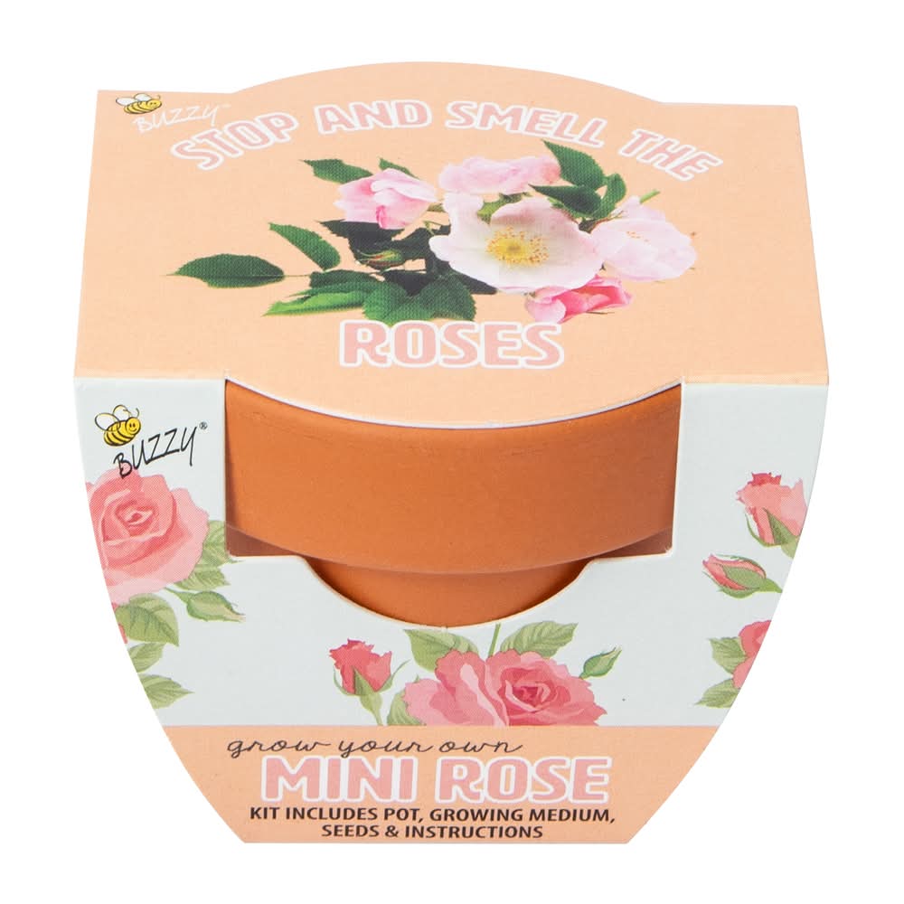 Mini Grow Your Own Plant Pot Kit Mini Rose