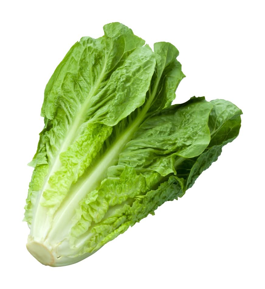 Original California Romaine Lettuce