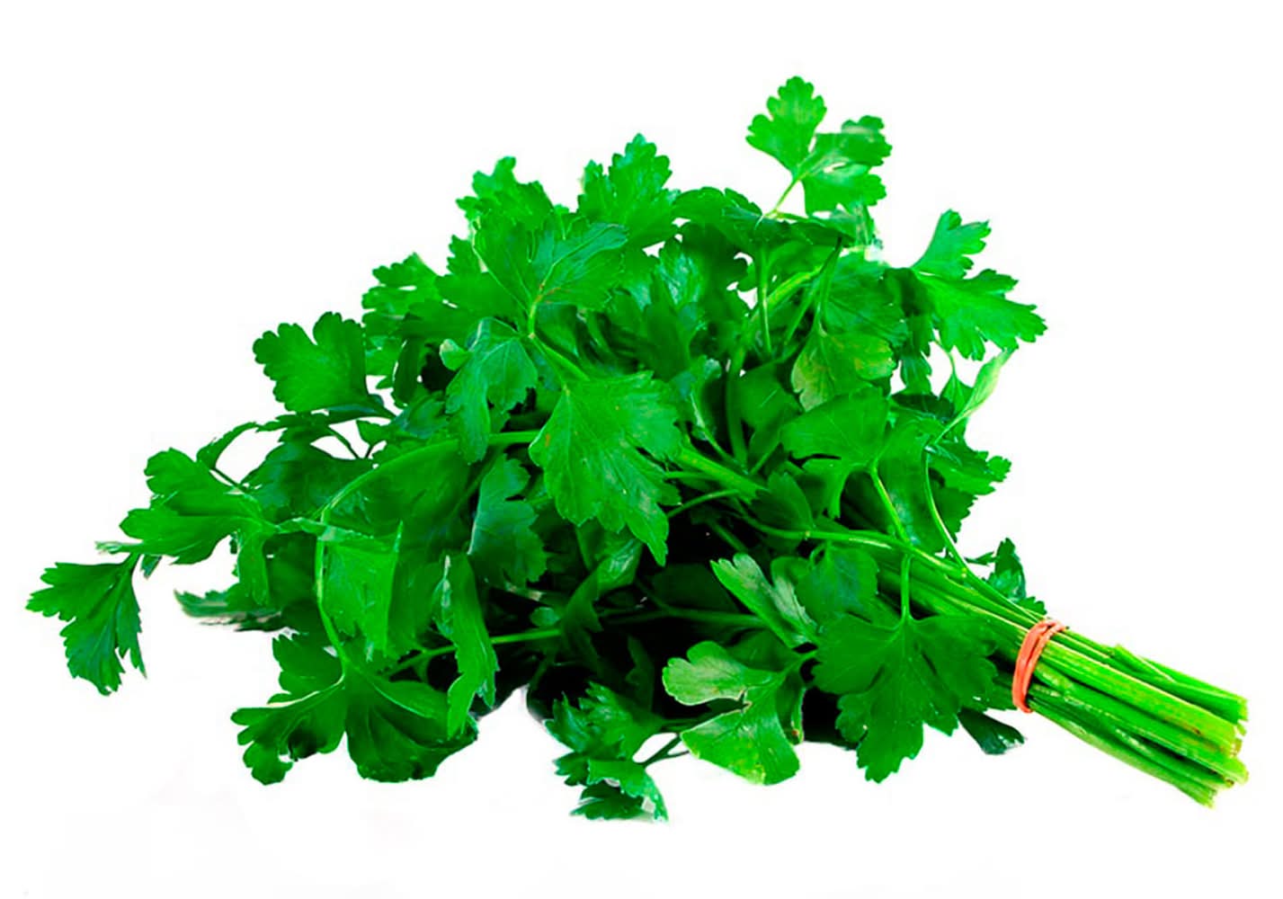 Perejil (120 g)