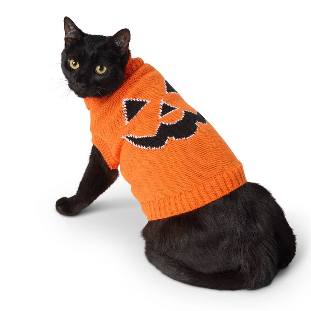 Pet Halloween Thrills & Chills Cat Pumpkin Sweater (medium/large/orange)