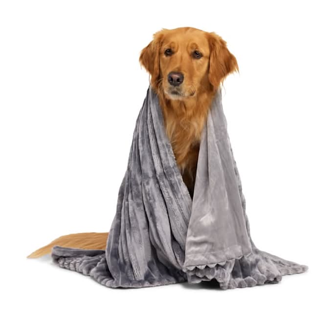 EveryYay Ribbed Plush Pet Throw For Dogs, 40x30 in, Grey (1.23 lbs)