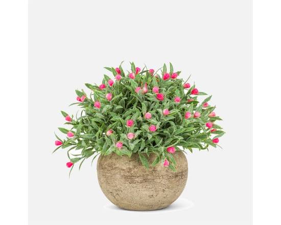 Pot À Plante (None) - Flowering Plant Pot (1 unit)