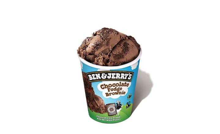 Large Chocolate Fudge Brownie