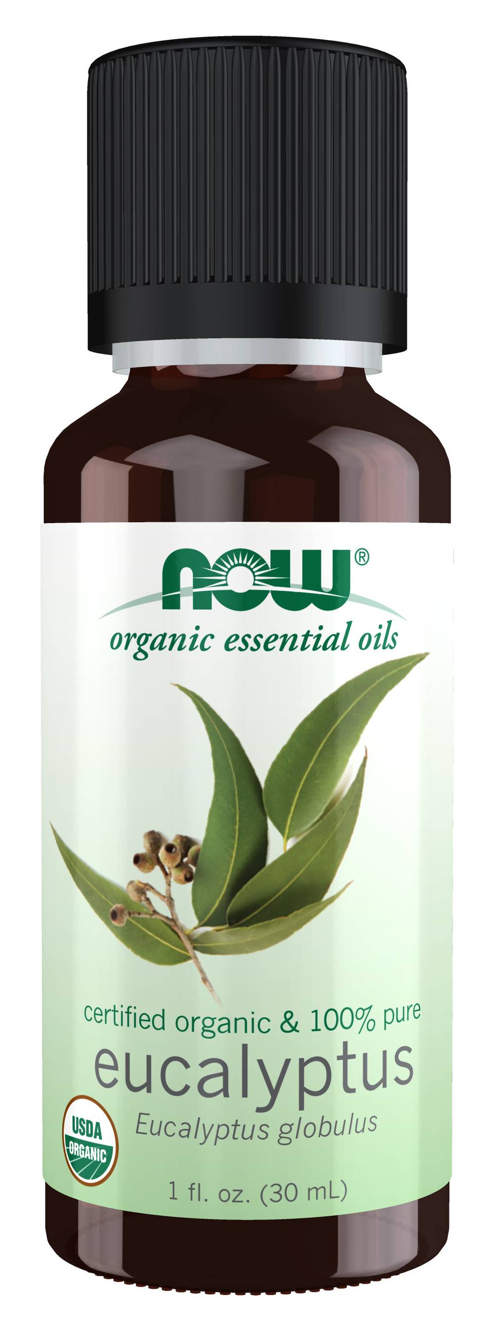 NOW Organic Eucalyptus Essential Oil (1.1 oz)