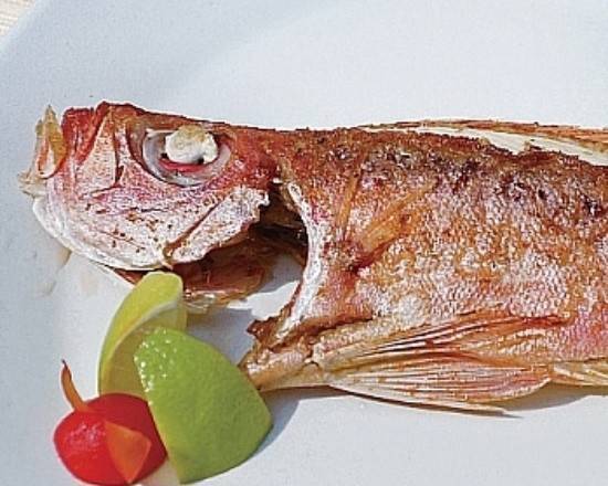 澎湖現撈紅目鰱 Penghu Red Bigeye Fish