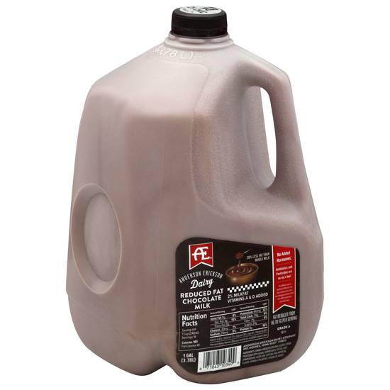 Anderson Erickson Dairy Reduced Fat Chocolate Milk (1 gal)