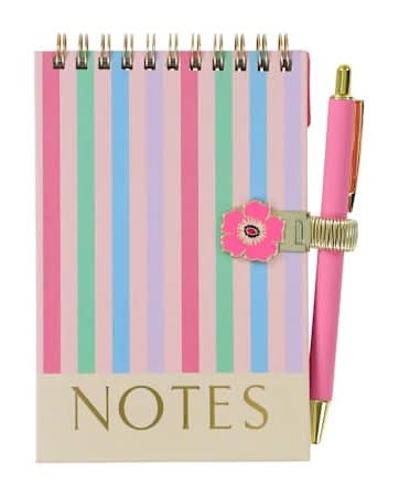 Mini Journal Set 3-Pack Pink Stripe