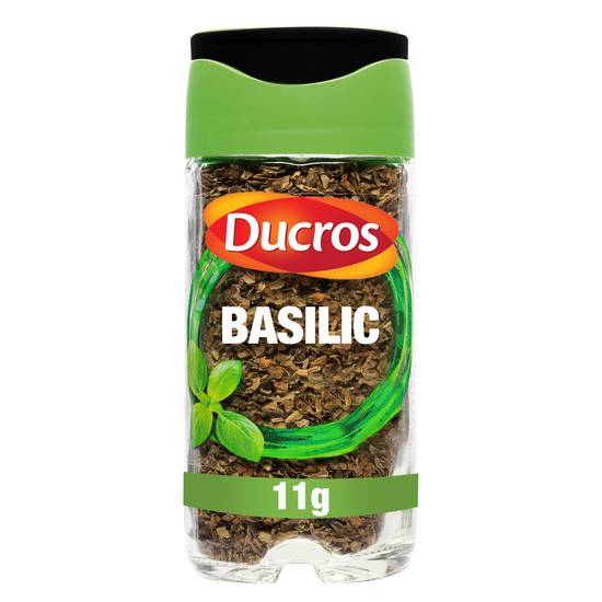 Ducros - Basilic